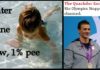 Pool water sent for Urine routine and culture sensitivity, Rio Olympics stopped temporarily.