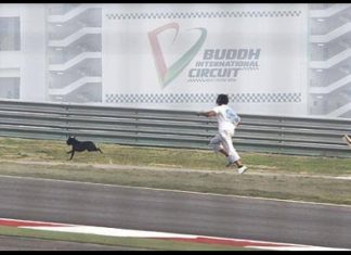Stray Dog Takes Pole Position in F1 Indian GP.